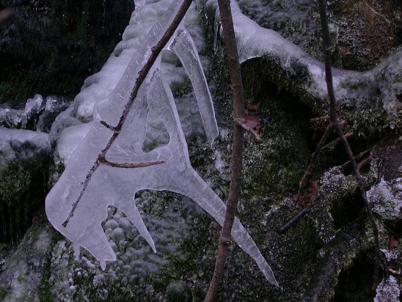 Winter in Bohinj, Slovenia - 21 - Melting Ice.JPG